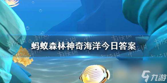 海草床在碳循环中的作用主要是碳的长期储存还是碳的短期释放