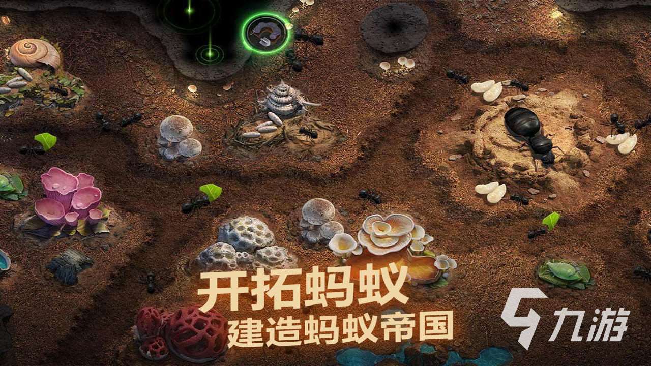 热门的策略游戏排行榜2023 好玩的策略手游合集