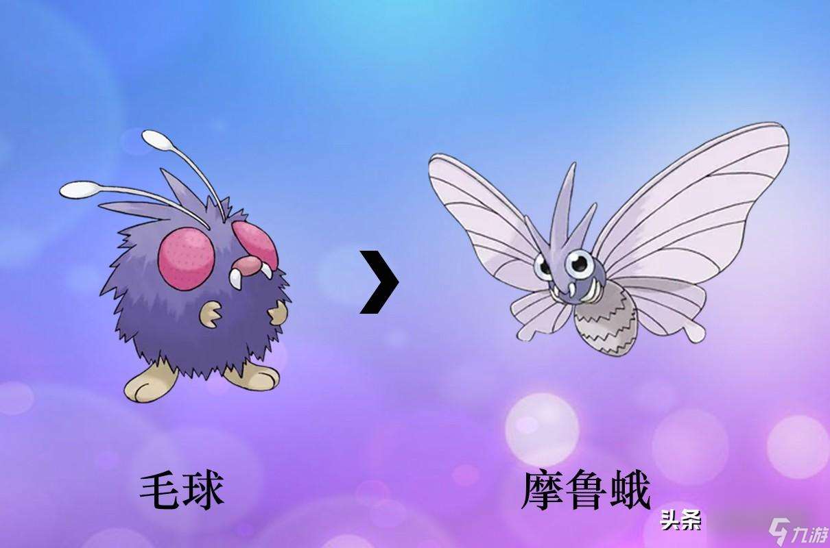 寶可夢全形態(tài)圖片分享（寶可夢精靈進(jìn)化圖鑒）