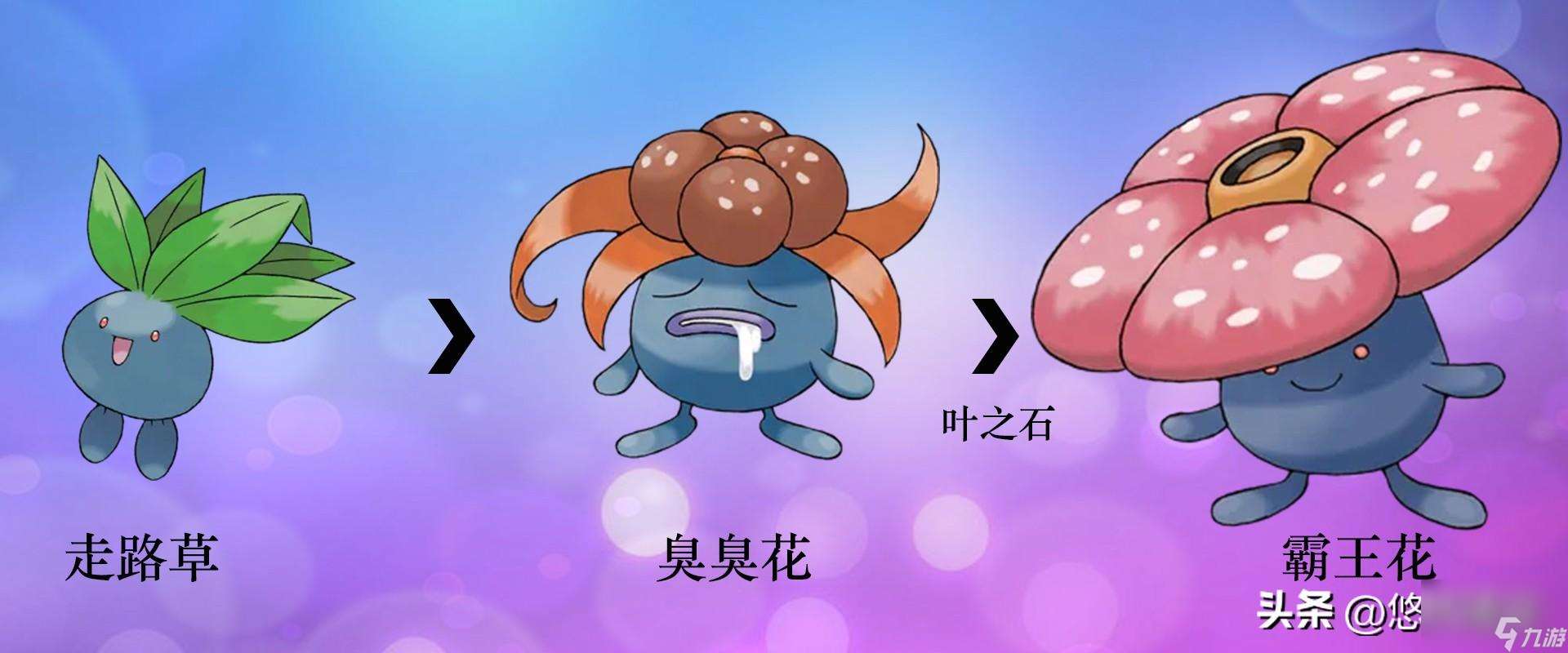 寶可夢全形態(tài)圖片分享（寶可夢精靈進(jìn)化圖鑒）