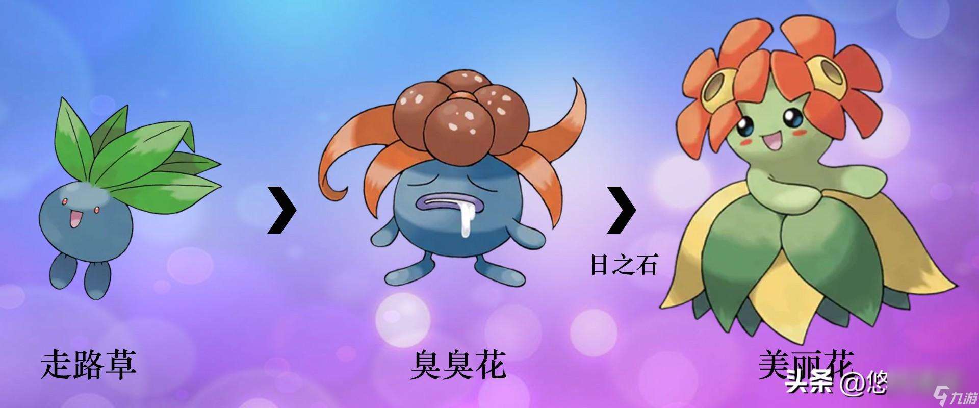 寶可夢全形態(tài)圖片分享（寶可夢精靈進(jìn)化圖鑒）