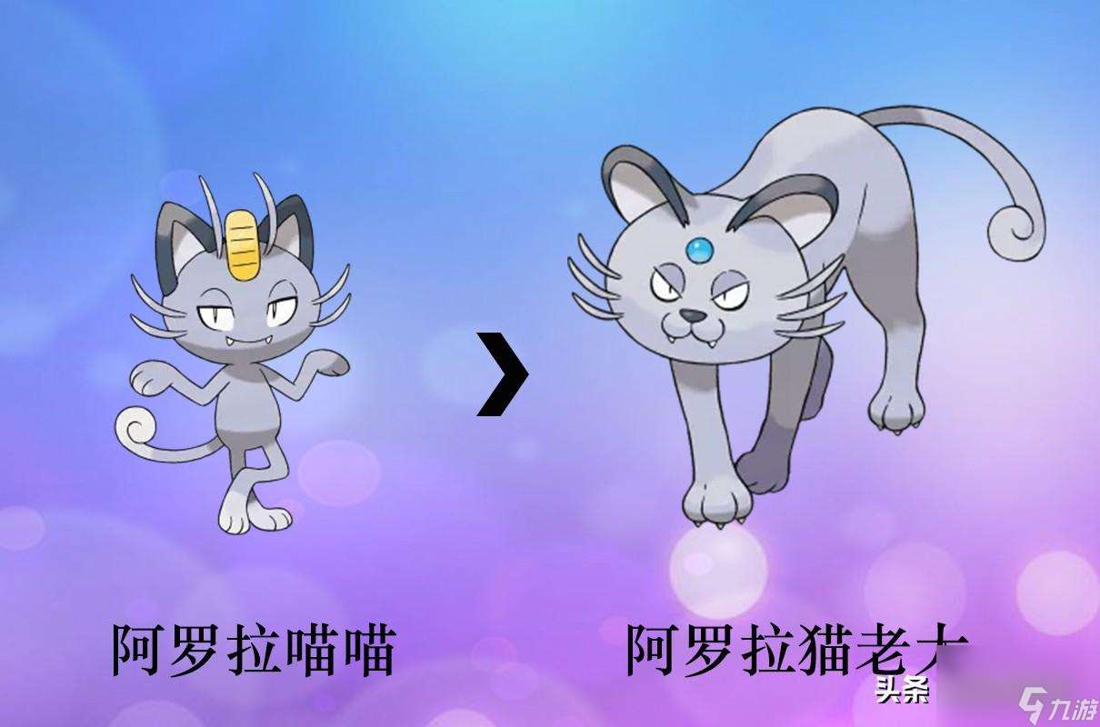 寶可夢全形態(tài)圖片分享（寶可夢精靈進(jìn)化圖鑒）