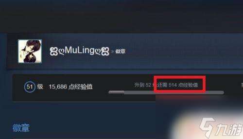 steam 合卡 STEAM升级与合卡技巧分享