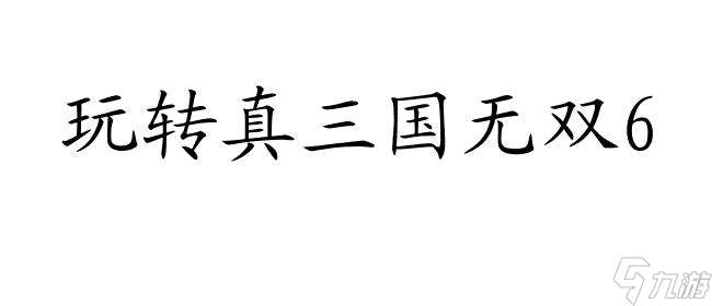 真三国无双6攻略印怎么搞 - 快速提升游戏实力的绝密攻略