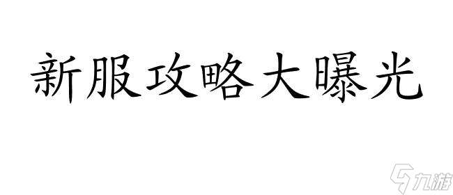 大话2新服怎么升级攻略 - 最全面的技巧与策略分享