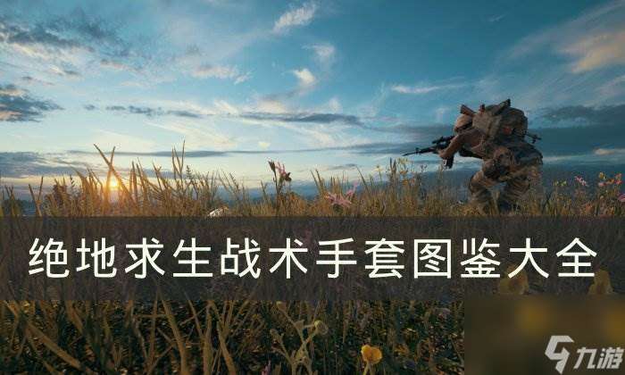 《绝地求生》战术手套有哪些 PUBG战术手套图鉴大全