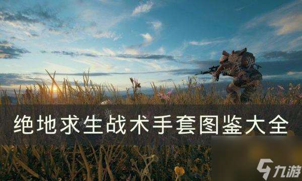 《绝地求生》战术手套有哪些？PUBG战术手套图鉴大全