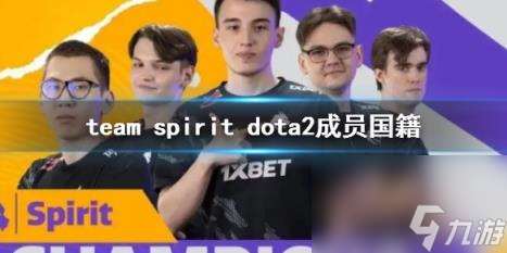 dota2team spirit成员国籍一览