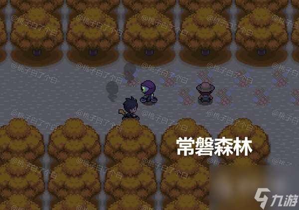 Pokemmo2023万圣节关都区域全鬼火分布位置一览