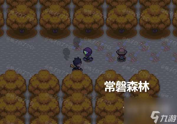 Pokemmo2023万圣节关都区域全鬼火分布位置