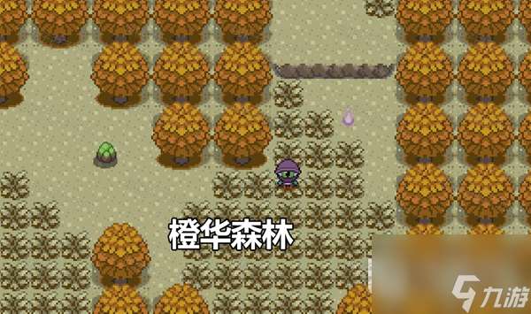 Pokemmo2023万圣节丰源区域全鬼火分布位置在哪里