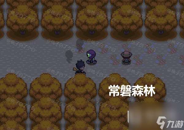 Pokemmo2023万圣节关都区域全鬼火分布位置