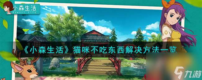 小森生活猫咪不吃东西如何解决-猫咪不吃东西解决方法介绍「科普」