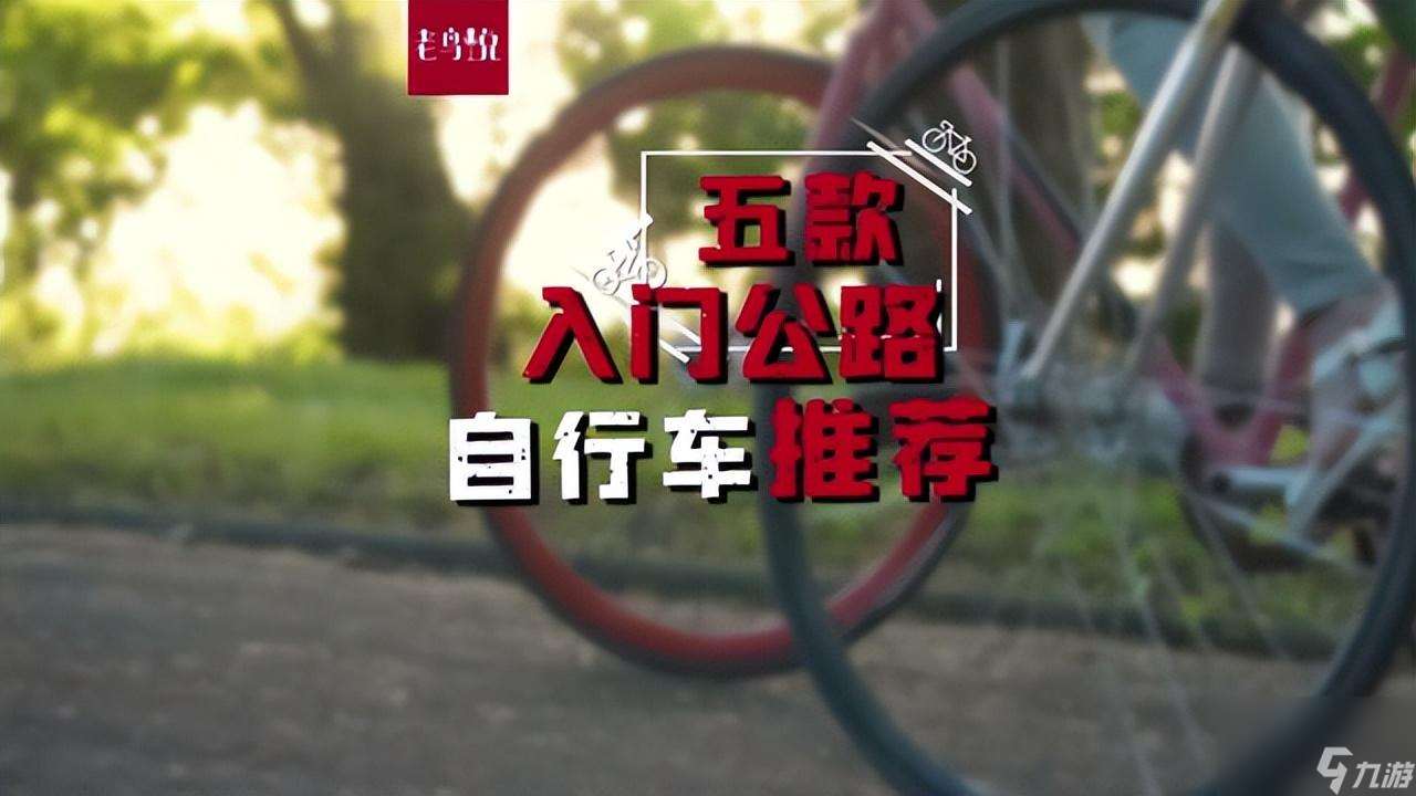 公路车怎么选(新手选公路车攻略)「科普」