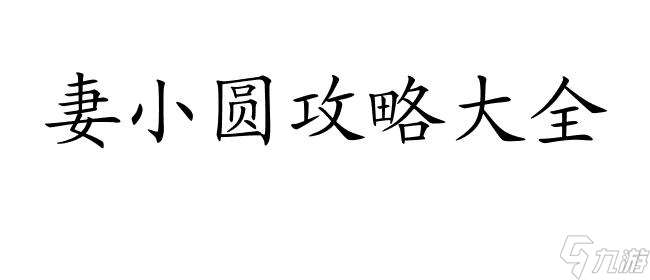 妻小圆怎么攻略 - 最佳攻略方法大全