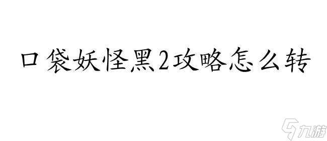 口袋妖怪黑2攻略怎么转 - 精彩攻略尽在这里！