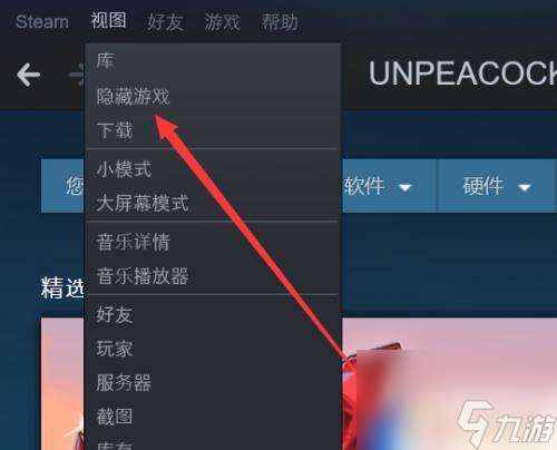 steam deck怎么看隐藏游戏 Steam如何显示隐藏的游戏设置