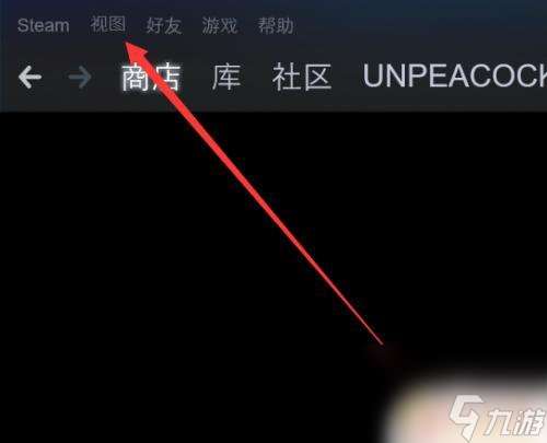 steam deck怎么看隐藏游戏 Steam如何显示隐藏的游戏设置