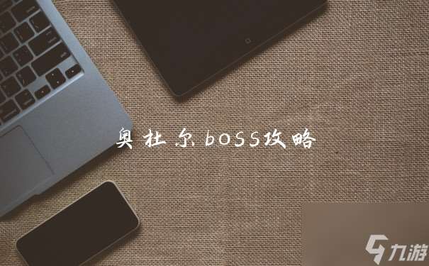 奥杜尔boss攻略