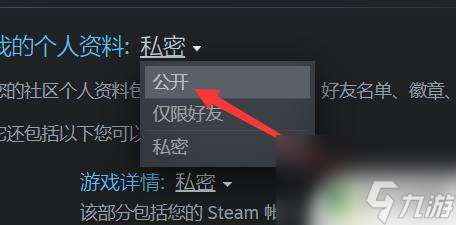 steam信息公开 如何公开全部steam资料