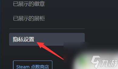 steam信息公开 如何公开全部steam资料