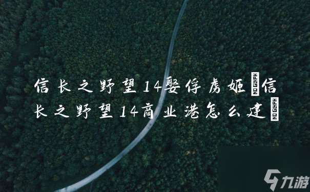 信长之野望14娶俘虏姬(信长之野望14商业港怎么建)