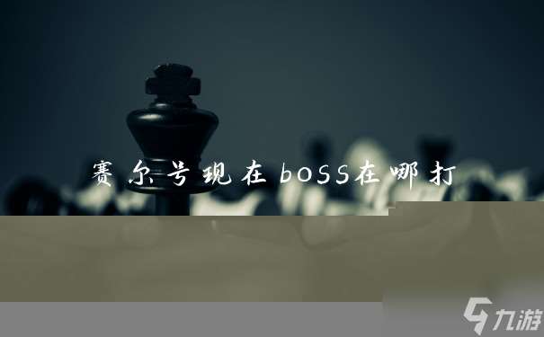 赛尔号现在boss在哪打