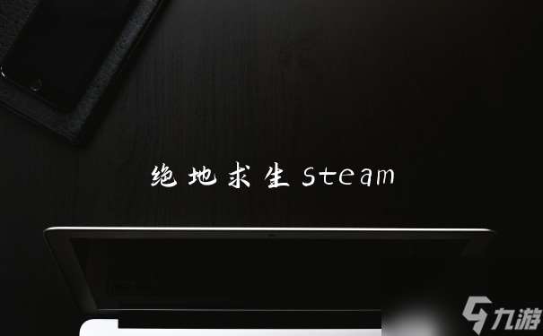 绝地求生steam