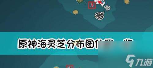 掌握岩无相的特性和技巧，提升战斗实力（掌握岩无相的特性和技巧，提升战斗实力）