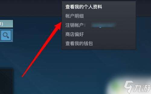 steam pin Steam PIN码忘记了该怎么办