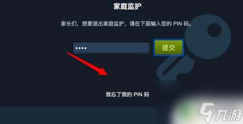 steam pin Steam PIN码忘记了该怎么办