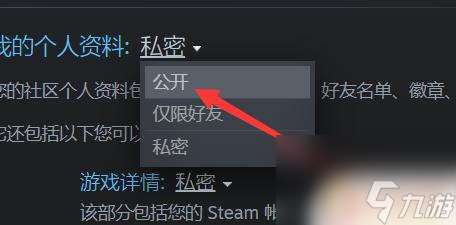 steam公开资料 steam资料如何完全公开