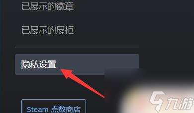 steam公开资料 steam资料如何完全公开