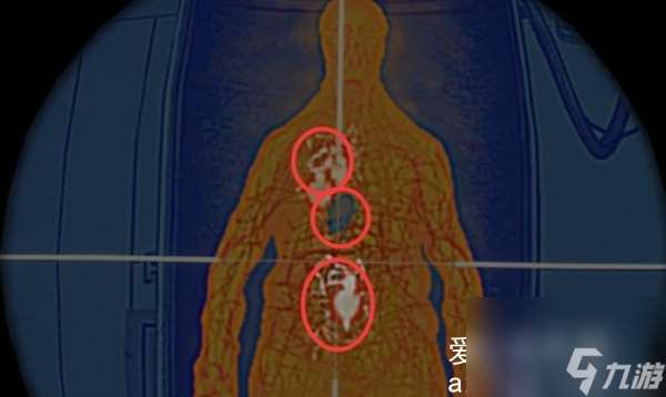 生化危机4重制版华丽的甲虫任务攻略