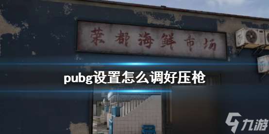 《pubg》压枪设置引荐