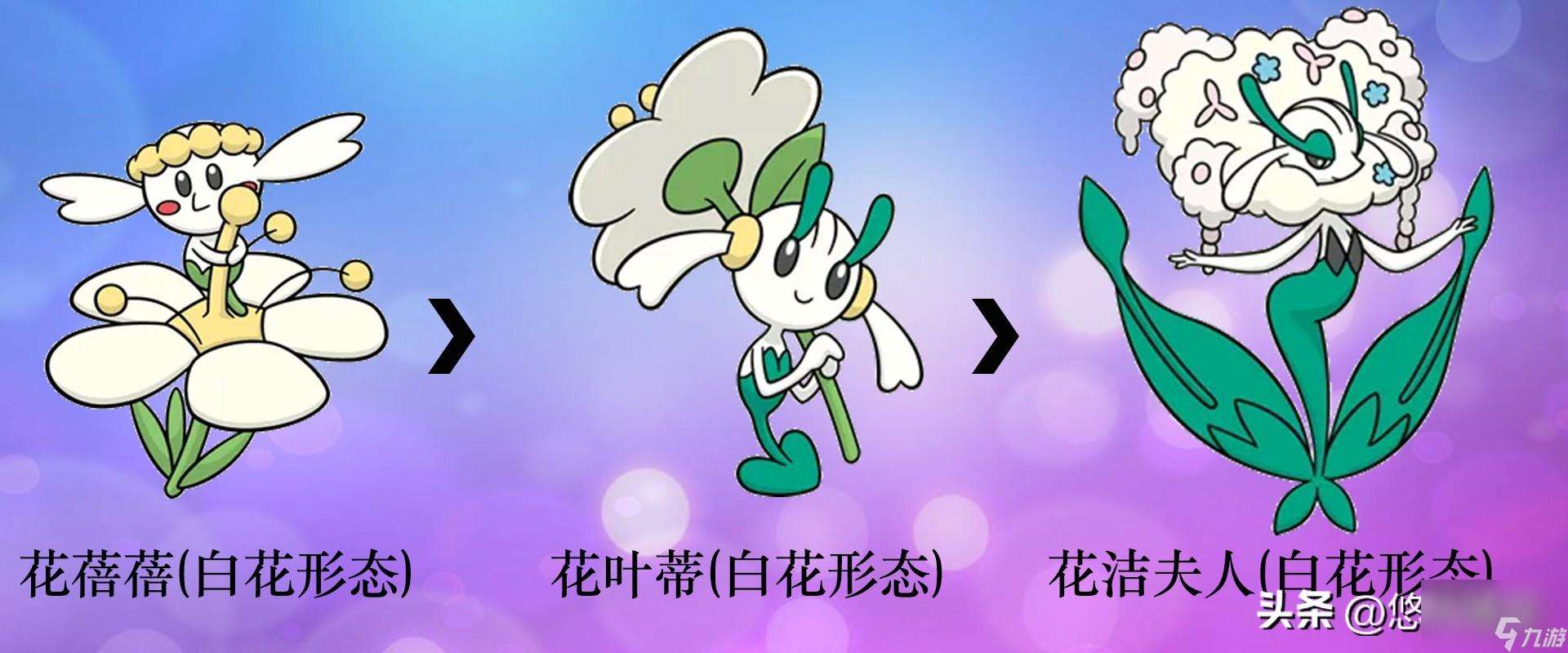 口袋精灵2宠物进化图（部分）