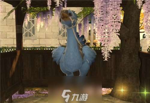 《FF14》陆行鸟染色攻略