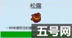 星露谷物语易错过献祭物品大全（易错过献祭物品大全）