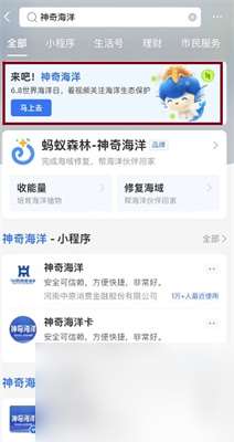 椰子蟹在哪個階段可能會寄居在椰子殼中