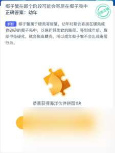 椰子蟹在哪個階段可能會寄居在椰子殼中