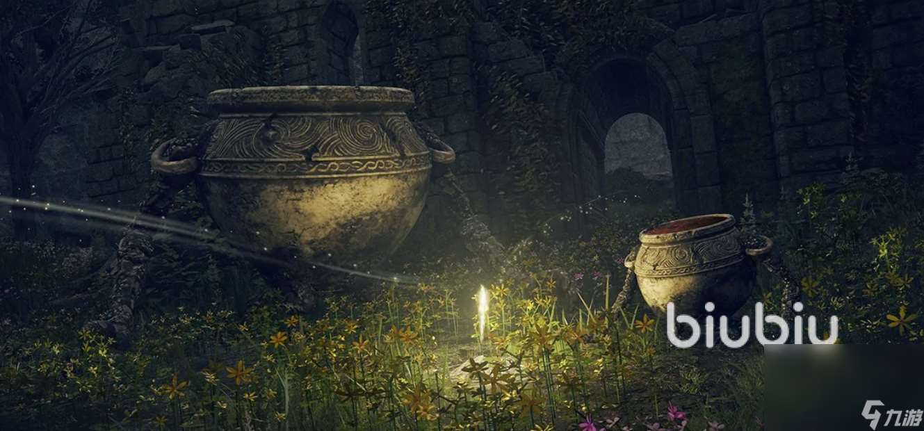 艾尔登法环登录不了服务器怎么办 专业性强的游戏加速器分享