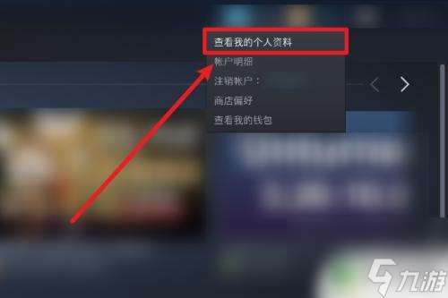 steam关库存 如何在Steam上设置不公开库存游戏