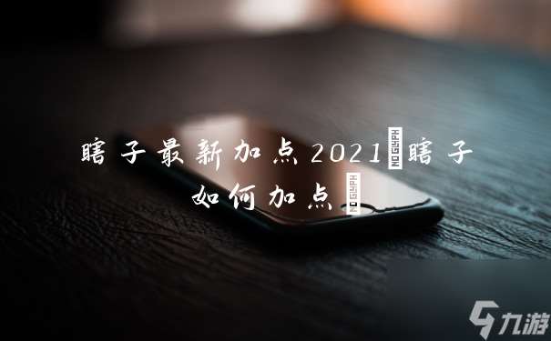 瞎子最新加点2021(瞎子如何加点)