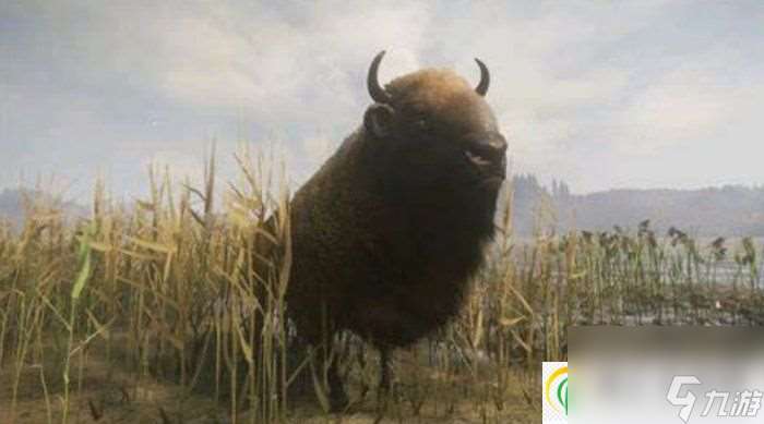 猎人荒野的召唤赫希费尔登地图有什么动物 赫希费尔登点位分享