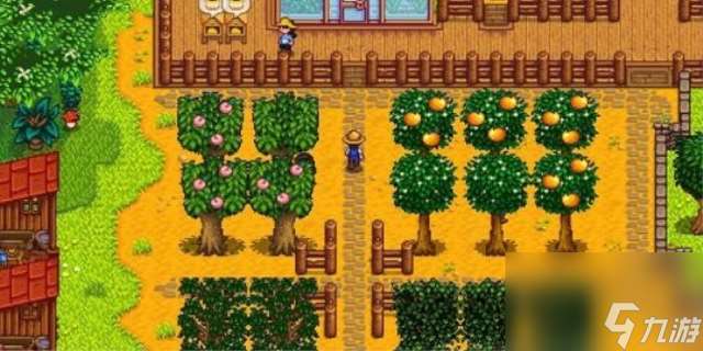 星露谷夏季鱼王在什么位置