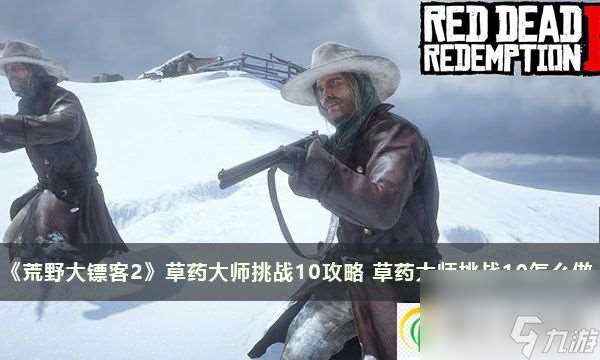 荒野大镖客2草药大师挑战10攻略 草药大师挑战10怎么做