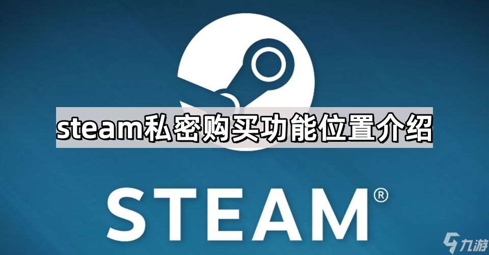 steam私密功能如何使用-steam私密购买功能位置介绍