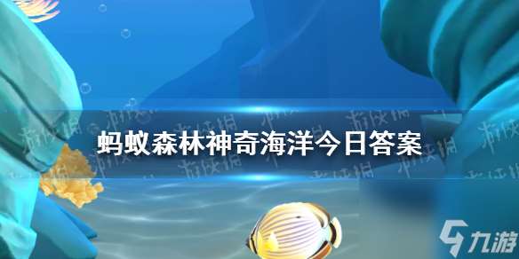 會飛翔的企鵝會潛水的鸚鵡形容的是海鸚嗎