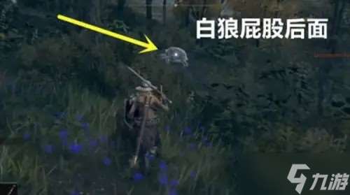 艾尔登法环提斯魔法师塔三只睿智兽物在哪