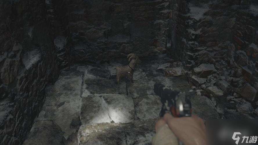 《生化危机8公爵真实身份揭秘》（生化危机新作）